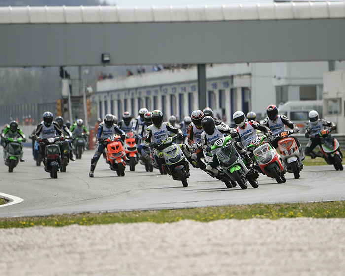 Imagen polini italian cup