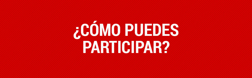 participa en el concurso FAN DEL MES