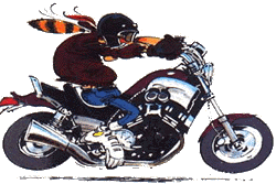 Pedro Mapache personaje de segunda generacion