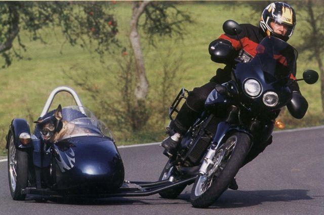 con el sidecar no renunciaras a la compañia de nadie