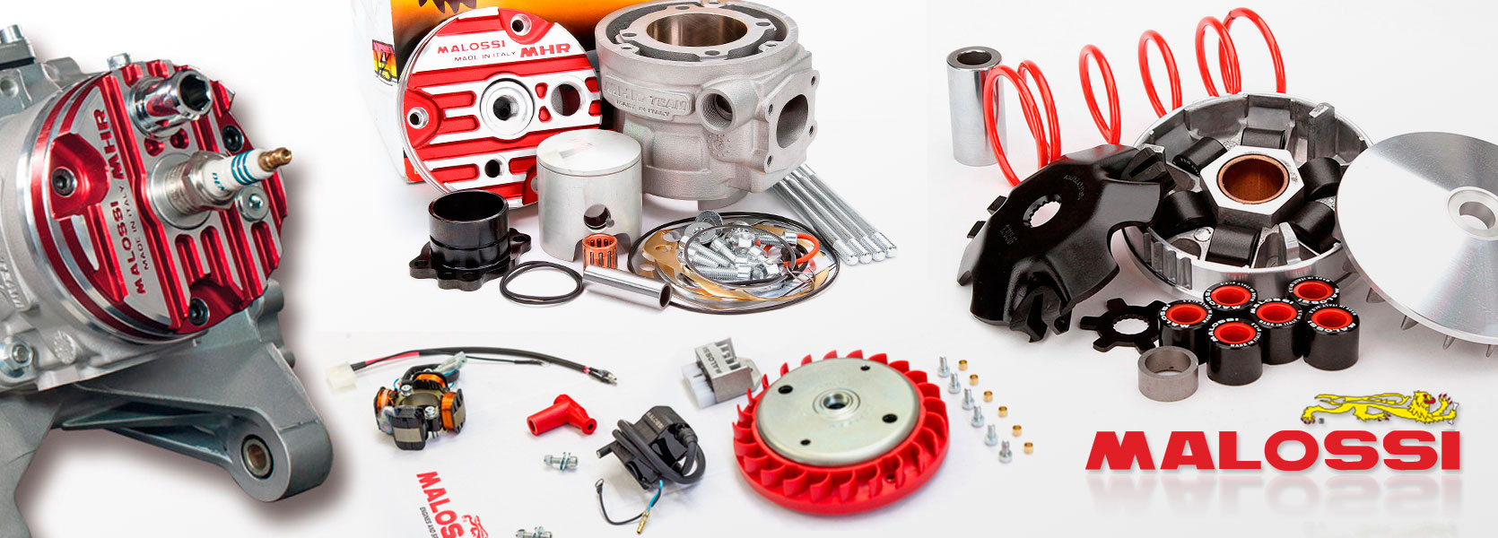 Recambios Malossi
