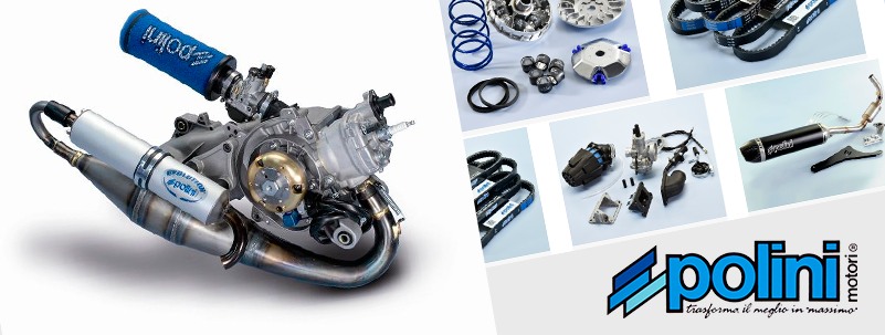 Recambios Polini