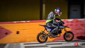 Carrera social Menarguens