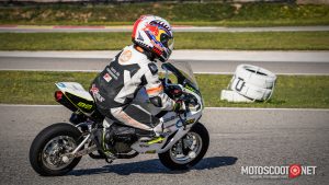 Carrera social Menarguens