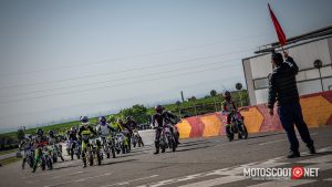 Carrera social Menarguens