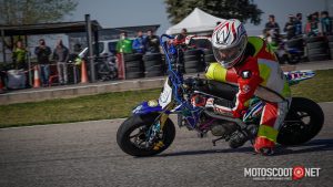 Carrera social Menarguens