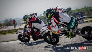 Carrera social Menarguens