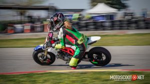 Carrera social Menarguens