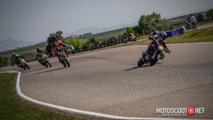 Carrera social Menarguens