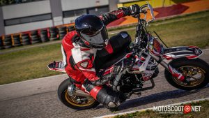 Carrera social Menarguens