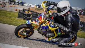 Carrera social Menarguens