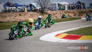 Carrera social Menarguens