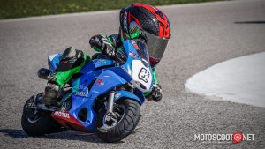 Carrera social Menarguens