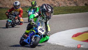 Carrera social Menarguens