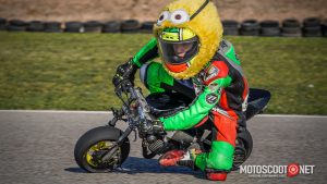 Carrera social Menarguens