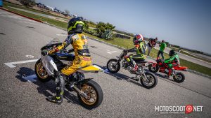 Carrera social Menarguens