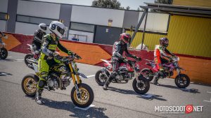 Carrera social Menarguens