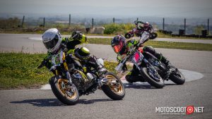 Carrera social Menarguens