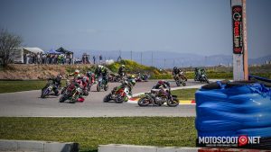 Carrera social Menarguens