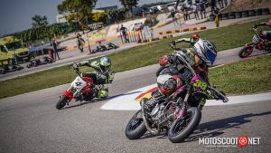 Carrera social Menarguens