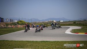 Carrera social Menarguens